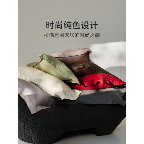 高級100支提花長絨棉枕套一對裝全棉乳膠枕頭套48x74家用枕芯套新