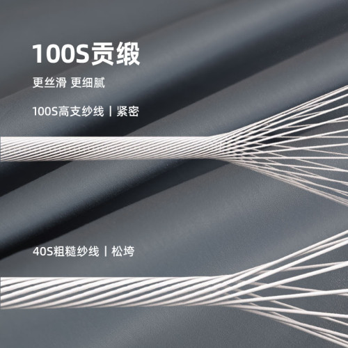 五星級酒店同款100支長絨棉枕套家用純色枕頭套裝純棉全棉一對裝