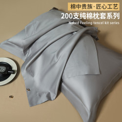 DreamyA類200支高級枕套48cmx74cm一對裝酒店高級感枕頭套純棉100