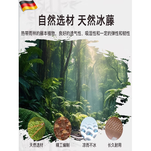 德國枕頭冰藤枕套枕芯套一對裝冰絲枕頭套夏天涼爽透氣竹枕蓆枕皮