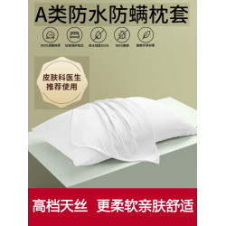 防口水枕套防頭油內膽套酒店民宿枕頭套防蟎蟲防汗枕芯一對保護套