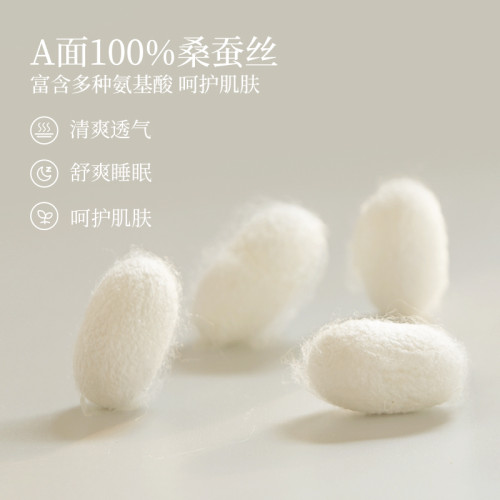 太湖雪單面桑蠶絲枕套19姆米純色飛邊真絲枕套AB面輕奢高級