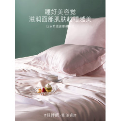 輕奢夏季水洗真絲枕套信封式絲綢枕頭套防蟎助眠護膚單人一衹裝