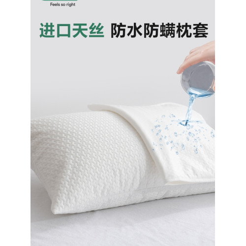高檔防水防蟎枕套防頭油口水酒店防汗防汙雙面天絲枕芯夾棉內膽套