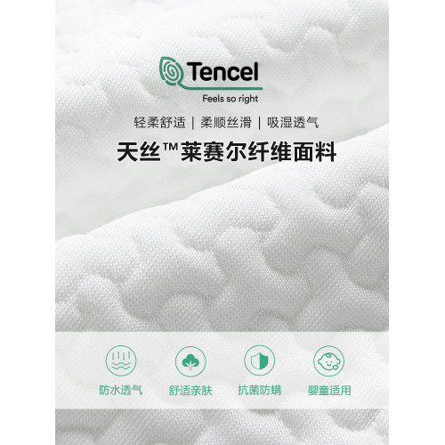 高檔防水防蟎枕套防頭油口水酒店防汗防汙雙面天絲枕芯夾棉內膽套