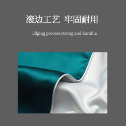 桑憶時尚22姆米真絲枕套桑蠶絲長絲單成人軟枕四季枕SYZT1301