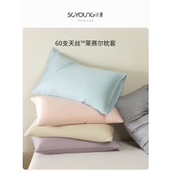 夏季60支蘭精天絲枕套一對裝2024新款高級感真絲枕頭套冰絲內膽套