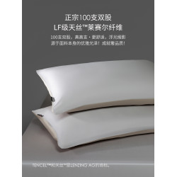 輕奢100支LF奧地利蘭精天絲枕頭套新款冰絲家用枕套枕巾一對裝夏