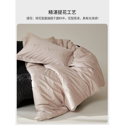 輕奢100SPro長絨棉提花被套單件純棉全棉被芯內膽套單雙人被單罩