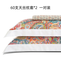 春夏季天絲枕套一對裝48x74cm輕奢高級感家用單床單人貢緞枕頭皮