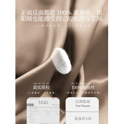 夢灣裡真絲枕套100%桑蠶絲枕頭套絲綢信封式枕巾春夏季單人枕套女