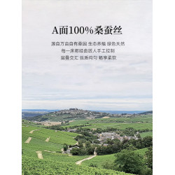 萬事利2025新款真絲枕套套裝枕套