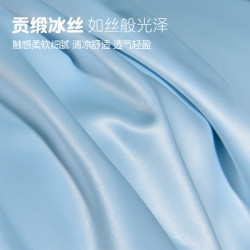 南極人夏季枕頭套48cmx74cm冰絲枕套一對裝家用單個成人枕芯套巾