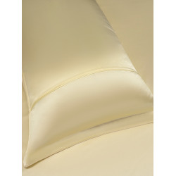 枕水人家枕水人家100%真絲枕套桑蠶絲雙面人工手繪枕芯套