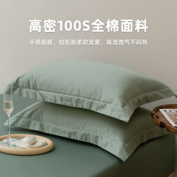 高級五星級酒店專用100支純棉枕套單個全棉單人枕頭套枕芯內膽套