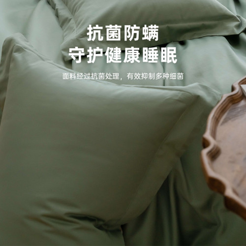 高級五星級酒店專用100支純棉枕套單個全棉單人枕頭套枕芯內膽套