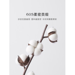 60支S全棉純色枕套純棉酒店枕頭套單人雙人學生宿舍枕芯套48x74cm