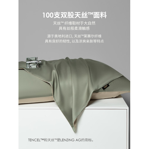 高級A類100支超細旦蘭精天絲枕套夏季家用真絲滑枕頭芯枕巾一對裝