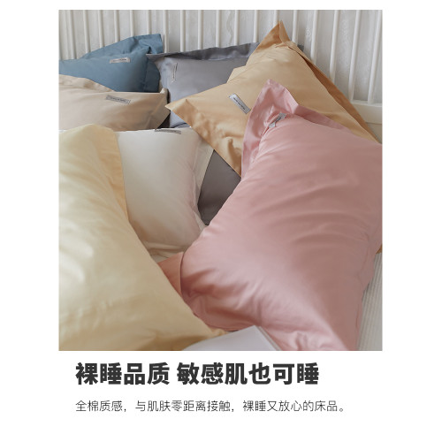 木悠輕奢高級感枕套新疆貢緞長絨棉枕頭套全棉純棉單人枕芯內膽套