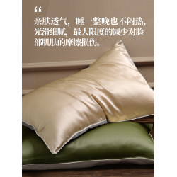 夢灣裡19姆米100%桑蠶絲AB面真絲枕套絲綢禮物男女一對裝48x74cm