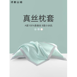綉娘絲綢新款真絲枕套單面100%桑蠶絲夏季禮盒單個涼感天絲枕頭套