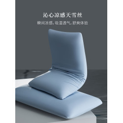 高級涼感天雪絲枕套一對裝家用夏季冰絲單人48cmx74cm枕頭內芯套