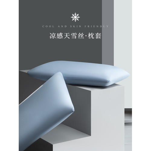 高級涼感天雪絲枕套一對裝家用夏季冰絲單人48cmx74cm枕頭內芯套