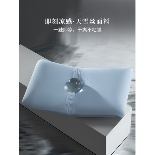 高級涼感天雪絲枕套一對裝家用夏季冰絲單人48cmx74cm枕頭內芯套