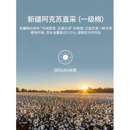 輕奢貢緞200新疆長絨棉全棉枕套枕頭一對裝百分百純棉48x74cm
