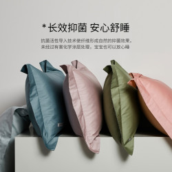五星級酒店專用100支枕套一對裝純棉全棉枕頭套枕芯內膽套48X74cm