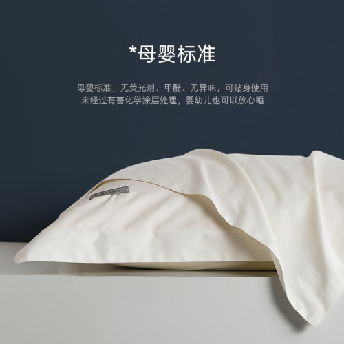 五星級酒店專用100支枕套一對裝純棉全棉枕頭套枕芯內膽套48X74cm