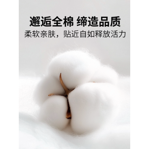 寢之堡防蟎防水枕套新款全純棉防塵蟎兒童枕芯保護套一對裝四季