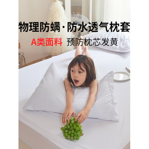 寢之堡防蟎防水枕套新款全純棉防塵蟎兒童枕芯保護套一對裝四季