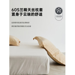 高級感酒店60支天絲純色枕套一對裝夏季冰絲裸睡枕頭套枕芯內膽套
