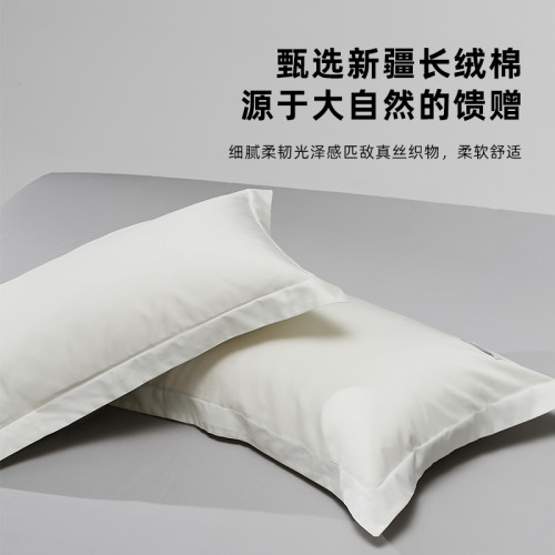 高級五星級酒店100S新疆長絨棉枕套一對裝家用純色枕頭套全棉純棉