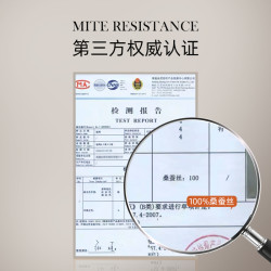 斯得福雙面純真絲枕套桑蠶絲美膚護髮22姆米100%桑蠶絲絲綢枕頭套