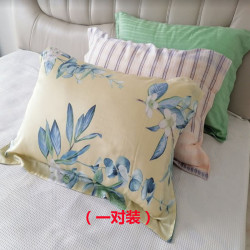 天絲天絲棉枕套100支tencel萊賽爾枕袋枕頭套親膚一對裝