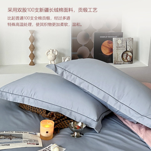 五星級酒店全棉純色枕套單個100支新疆長絨棉純棉枕頭套一對裝拍2