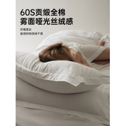 五星級酒店民宿專用60支長絨棉枕套一對裝白色枕頭套純棉全棉成人