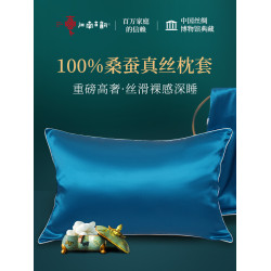 100%桑蠶絲真絲枕套冰絲純色枕頭套夏季涼爽涼枕套雙人家用夏天