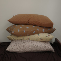 【枕套1個裝】全棉針織棉碎花小清新枕套a類純棉天竺棉單人枕頭套