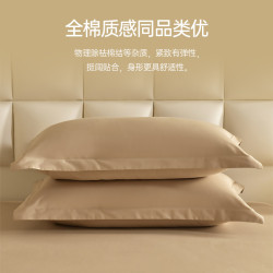高級鉑金絲光全棉枕套簡約風純色純棉枕芯套一對裝48x74cm枕頭套