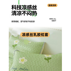 枕頭套一對裝夏季冰絲枕套新款乳膠涼蓆枕頭套48X74cm 枕芯內膽套