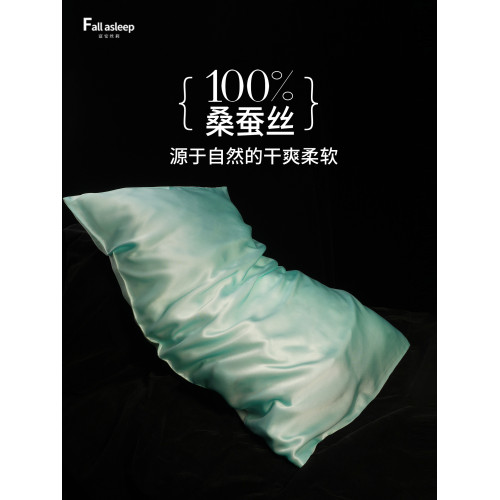 真絲枕套AB雙面桑蠶絲天絲22姆米簡約經典純色款天然零敏親膚絲滑