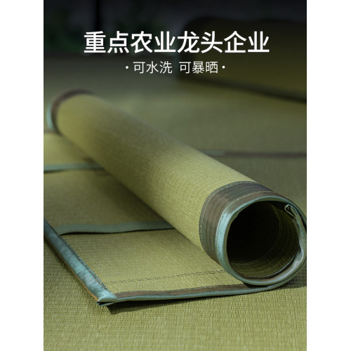 黃古林海綿草涼蓆記憶枕套夏天然單人可水洗透氣草蓆枕皮乳膠枕片