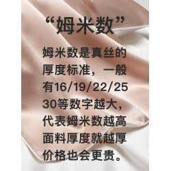 30姆米真絲枕套桑蠶絲夏季絲綢美容枕頭套成人一對冰絲枕套48×74