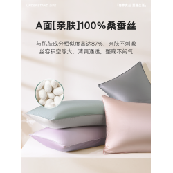 真絲枕套100%桑蠶絲絲綢19姆米重磅單面純色簡約枕頭套雙人親膚