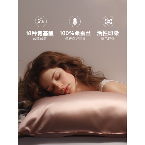 真絲枕套100%桑蠶絲絲綢19姆米重磅單面純色簡約枕頭套雙人親膚