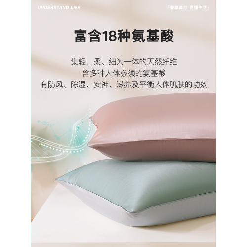 真絲枕套100%桑蠶絲絲綢19姆米重磅單面純色簡約枕頭套雙人親膚
