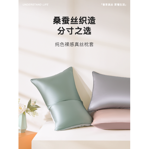 真絲枕套100%桑蠶絲絲綢19姆米重磅單面純色簡約枕頭套雙人親膚